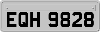 EQH9828