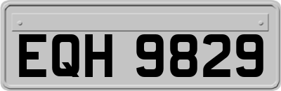 EQH9829