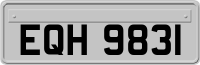 EQH9831