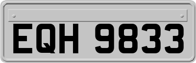 EQH9833
