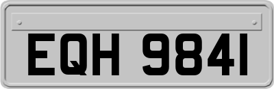 EQH9841