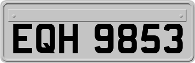 EQH9853