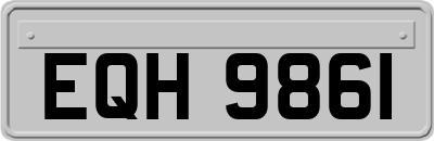 EQH9861