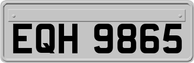 EQH9865
