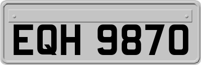 EQH9870