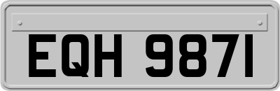 EQH9871