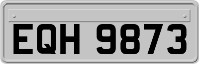 EQH9873
