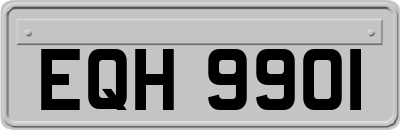 EQH9901