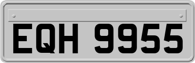 EQH9955
