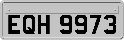 EQH9973