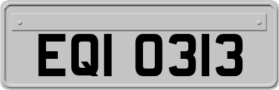 EQI0313