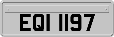 EQI1197