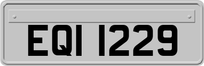 EQI1229