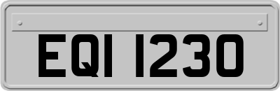 EQI1230