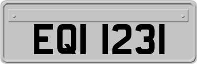 EQI1231