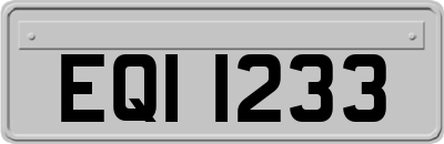 EQI1233
