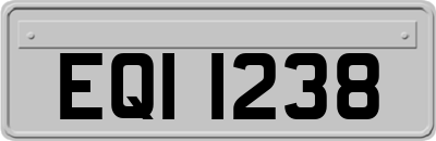 EQI1238