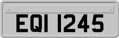 EQI1245