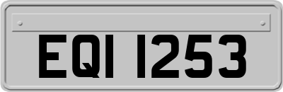 EQI1253