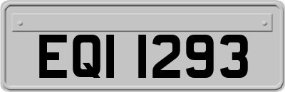 EQI1293