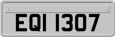 EQI1307