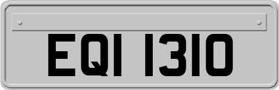 EQI1310