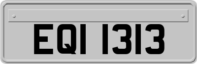 EQI1313