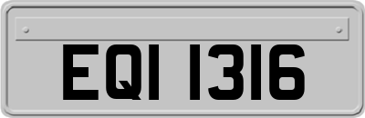 EQI1316