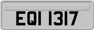 EQI1317