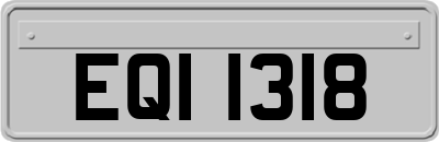 EQI1318