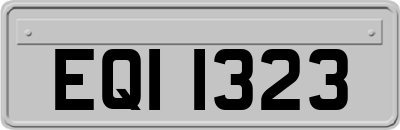 EQI1323