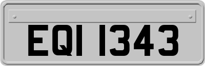 EQI1343