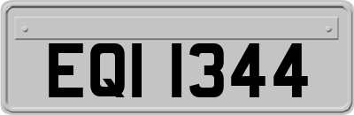 EQI1344