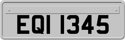 EQI1345