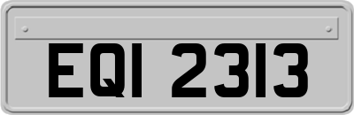 EQI2313