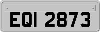 EQI2873