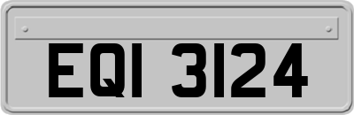 EQI3124
