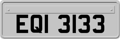 EQI3133