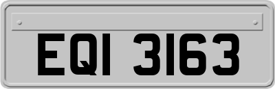 EQI3163