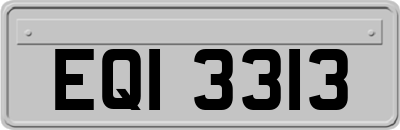 EQI3313