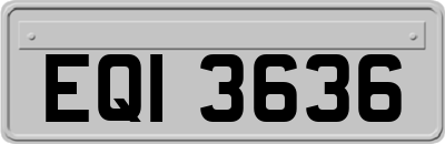 EQI3636