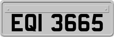 EQI3665