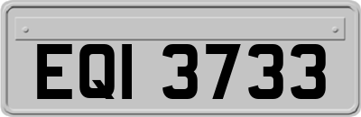 EQI3733