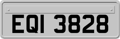 EQI3828