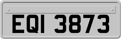 EQI3873