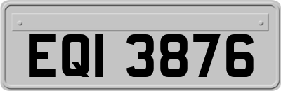 EQI3876