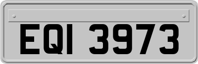 EQI3973