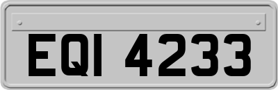 EQI4233