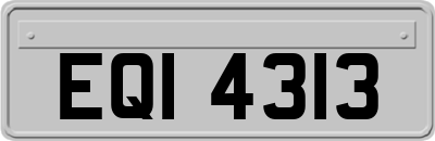 EQI4313