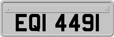 EQI4491